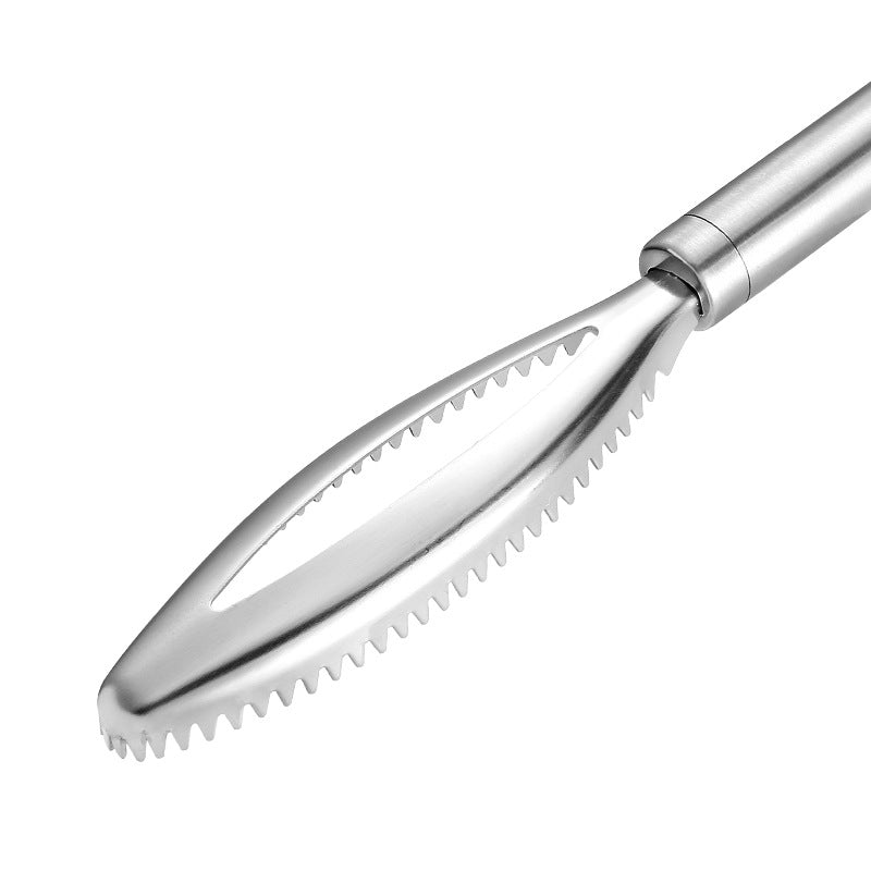 Fish Artifact Removing Tool 